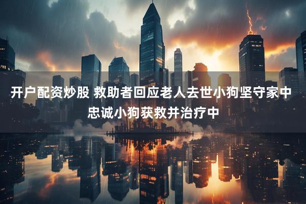 开户配资炒股 救助者回应老人去世小狗坚守家中 忠诚小狗获救并治疗中